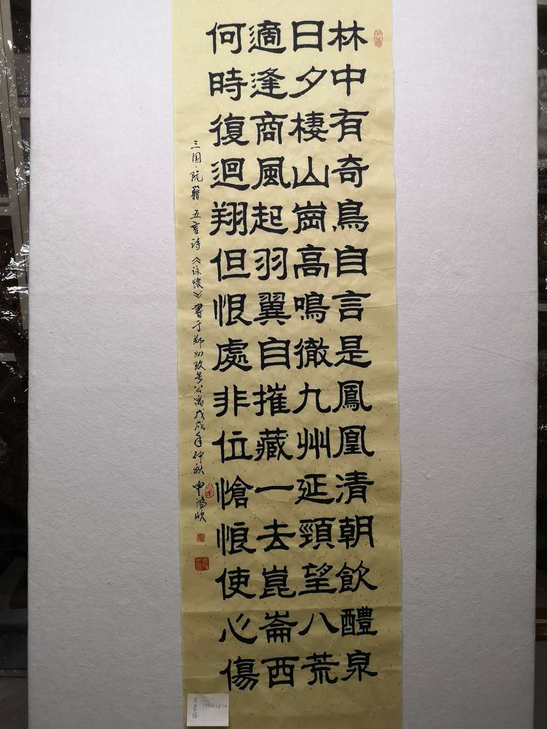 申鸿欣作品 三