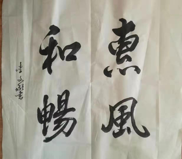 李文献老师作品 十