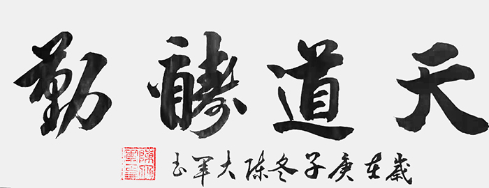 陈大军老师作品 一